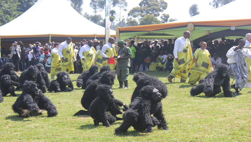 Kwita Izina 2026
