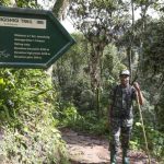 mount bugugu