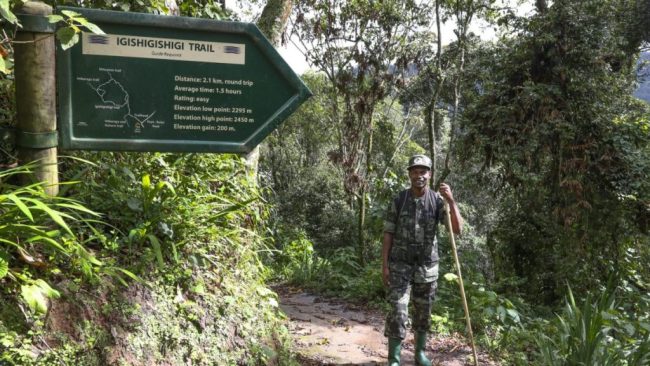 mount bugugu