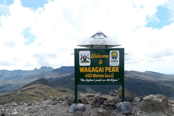 mount elgon