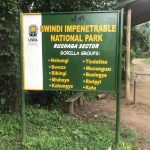 2days uganda gorilla tracking starting from kigali