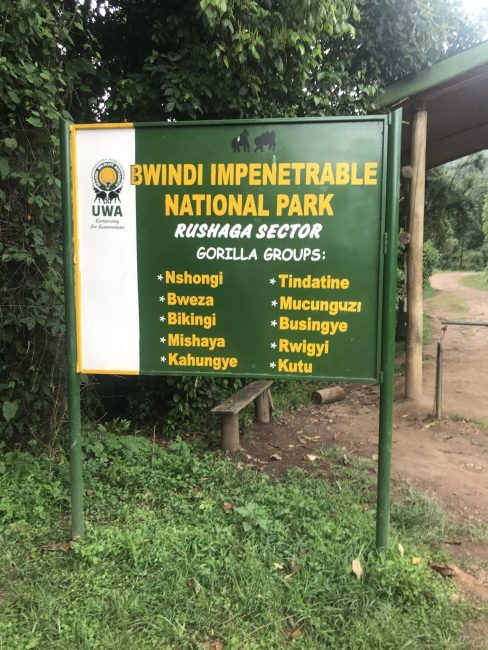 2days uganda gorilla tracking starting from kigali