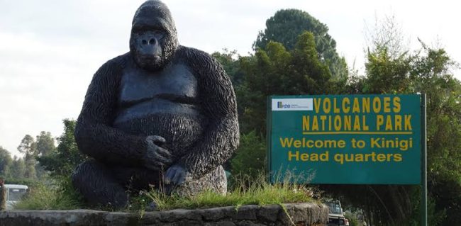 how to get volcanoes national park
